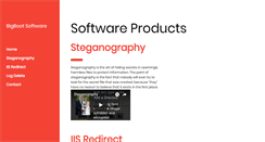 Desktop Screenshot of bigboot.com